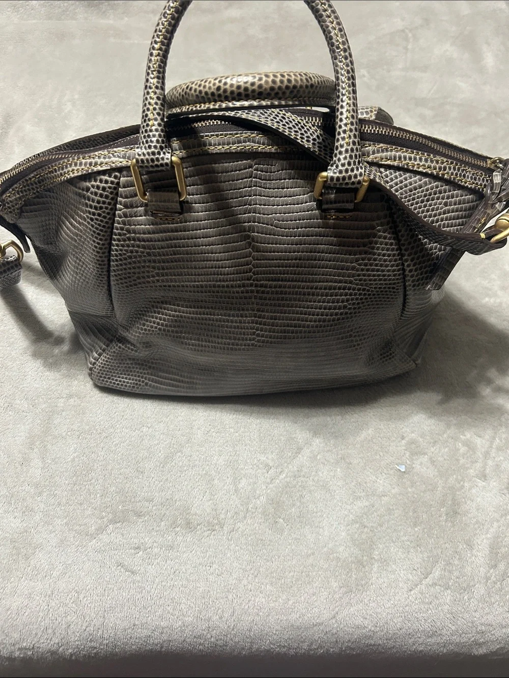 Dooney & Bourke Gray Lizard-Embossed Satchel with Gold Hardware